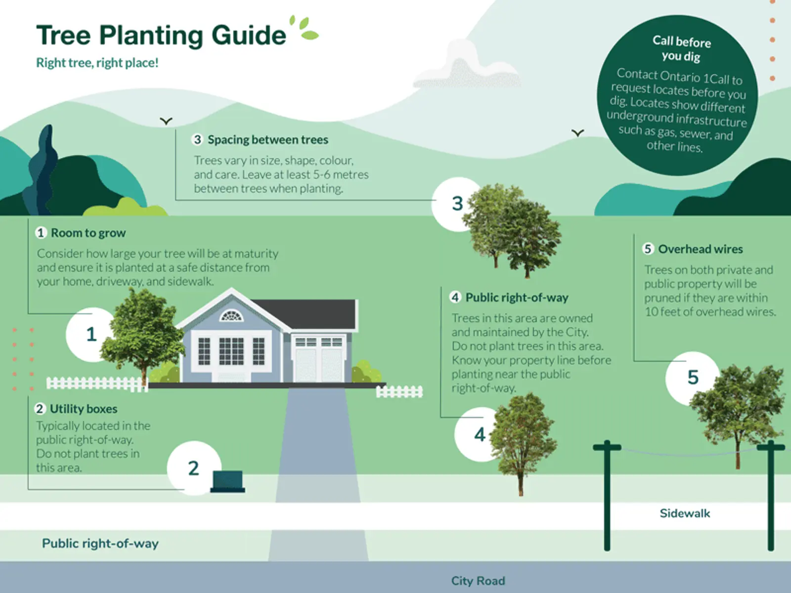 Neighbourhood Tree Planting Program | City of Kingston