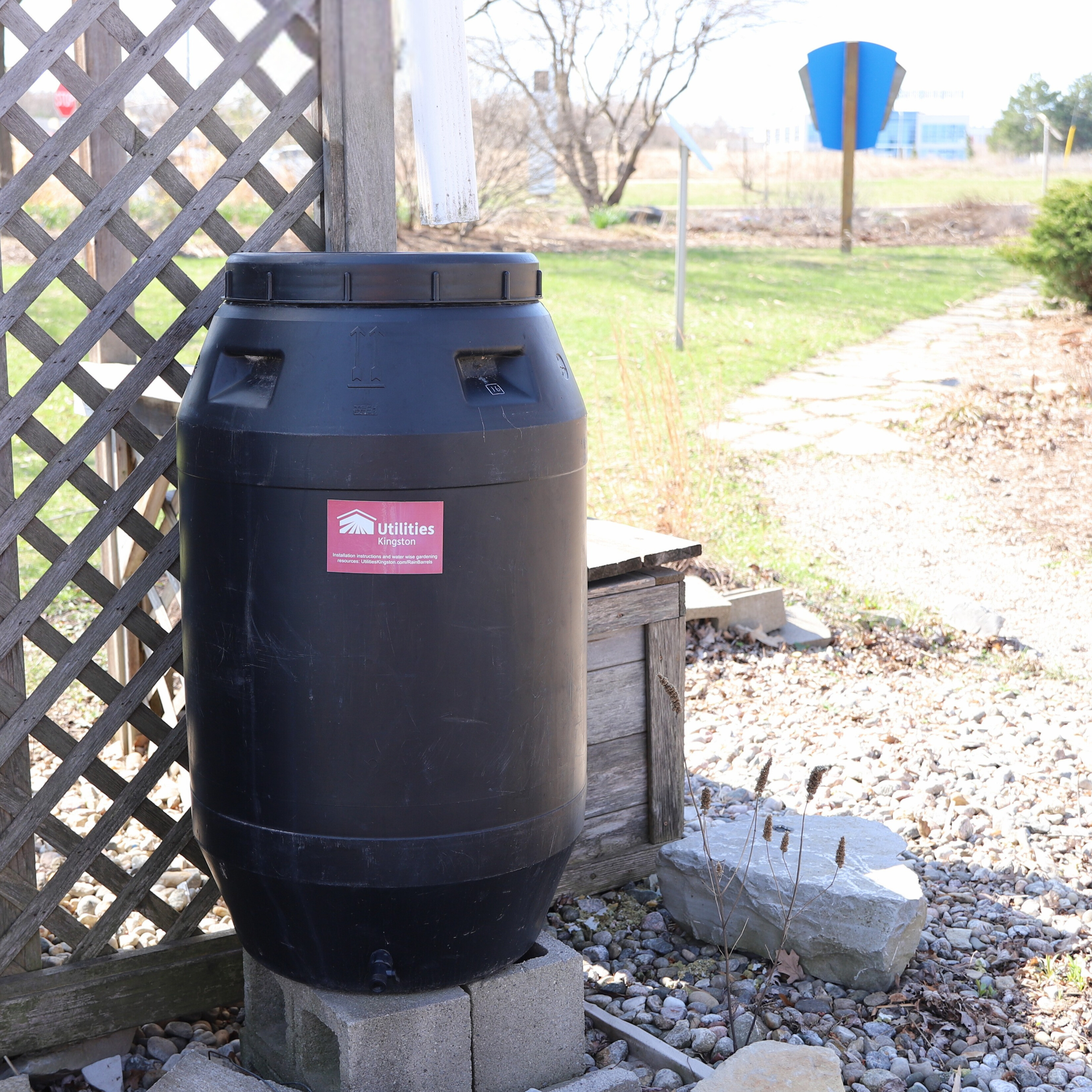 A black rain barrel labeled "Utilities Kingston," placed in a garden.