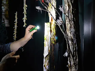 A close up of a patron's hand holding a flashlight to illuminate the sculptural elements inside the shipping container as part of 'The Clearing'. 