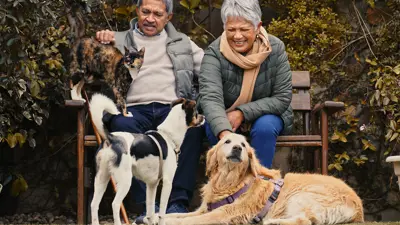 An elderly couple on a park bench with a cat and two dogs