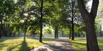 A Kingston city park scene with a path and trees