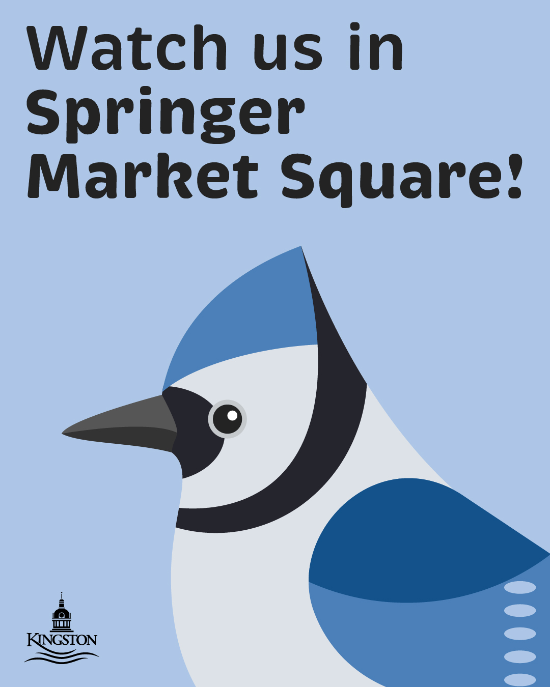 Stylized graphic of blue jay bird on top of a light blue background with the text "Watch us in Springer Market Square" and City of Kingston logo on the bottom.