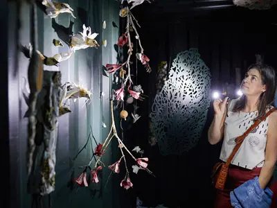 A patron uses a flashlight to look at the sculptural elements inside the shipping container as part of the art project 'The Clearing'.